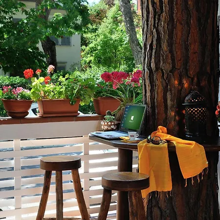 Plaza & Coffee فندق