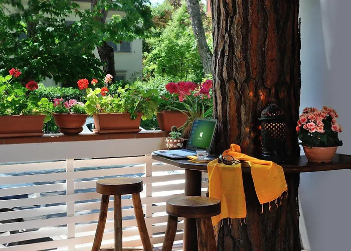 Plaza & Coffee فندق